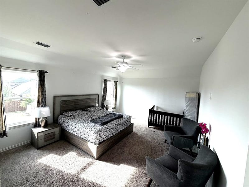 2603 Lemon Mint Lane, Melissa TX 75454 - Photo 22