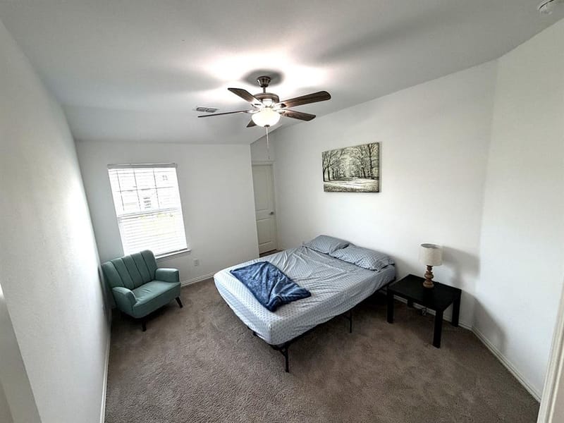 2603 Lemon Mint Lane, Melissa TX 75454 - Photo 28