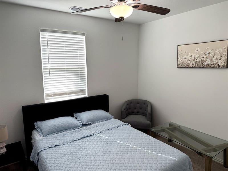 2603 Lemon Mint Lane, Melissa TX 75454 - Photo 14