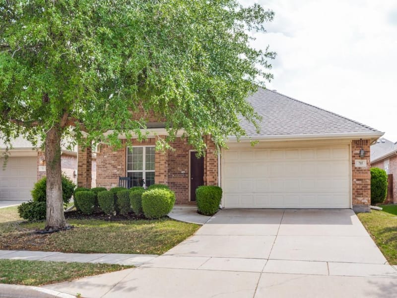705 Lovebird Lane, Little Elm TX 75068 - Photo 26