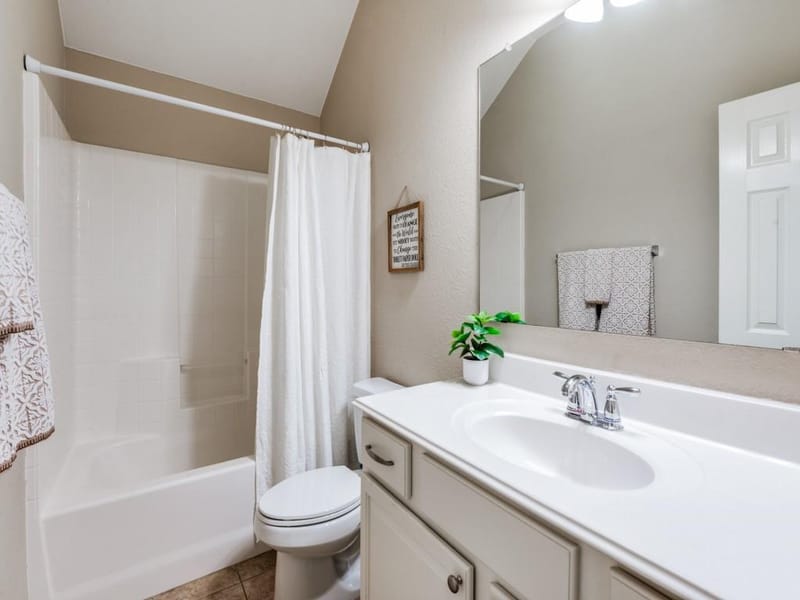 705 Lovebird Lane, Little Elm TX 75068 - Photo 21