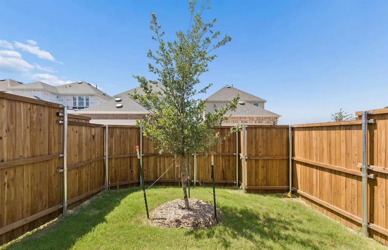 1316 Holmes Street, Celina TX 75009 - Photo 17