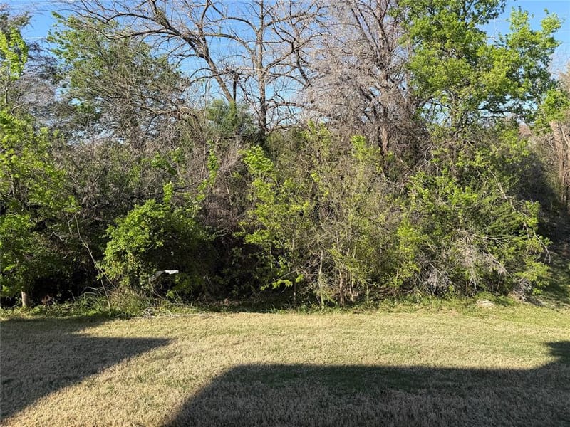 1242 Alamo Drive, Lewisville TX 75077 - Photo 14