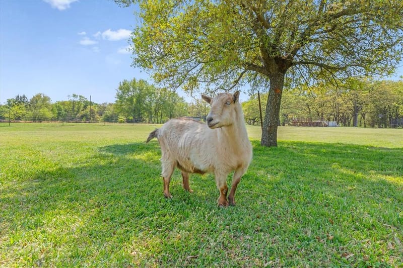 7142 S Fm 148, Kaufman TX 75142 - Photo 35