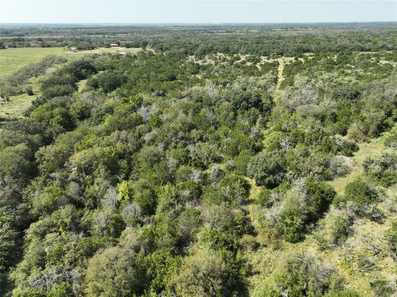 1695 Fm 2823, Carlton TX 76436 - Photo 38