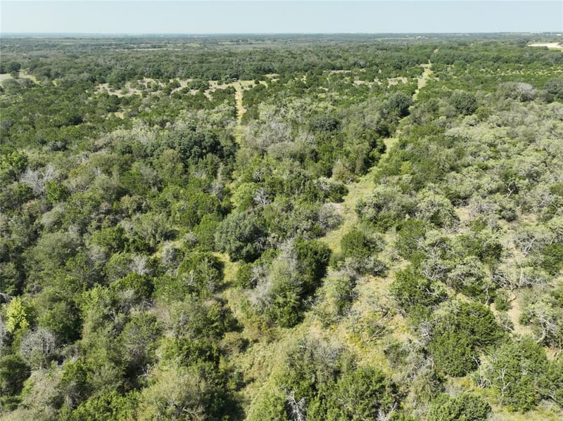 1695 Fm 2823, Carlton TX 76436 - Photo 37