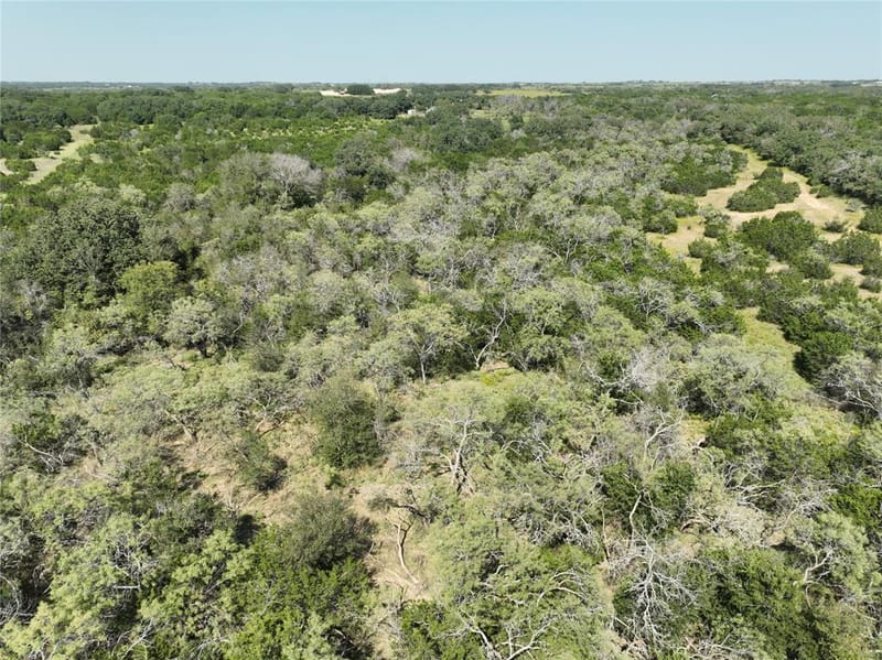 1695 Fm 2823, Carlton TX 76436 - Photo 39