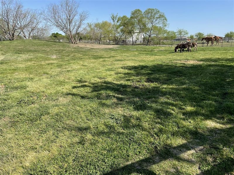 394 Emerald Glenn Lane, Pilot Point TX 76258 - Photo 27
