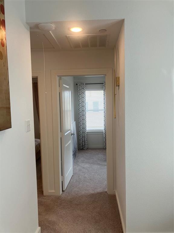 3737 Bel Air Boulevard, Sherman TX 75090 - Photo 11