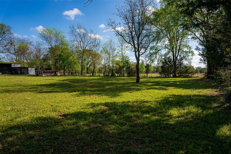 10813 Fm 773, Ben Wheeler TX 75754 - Photo 17