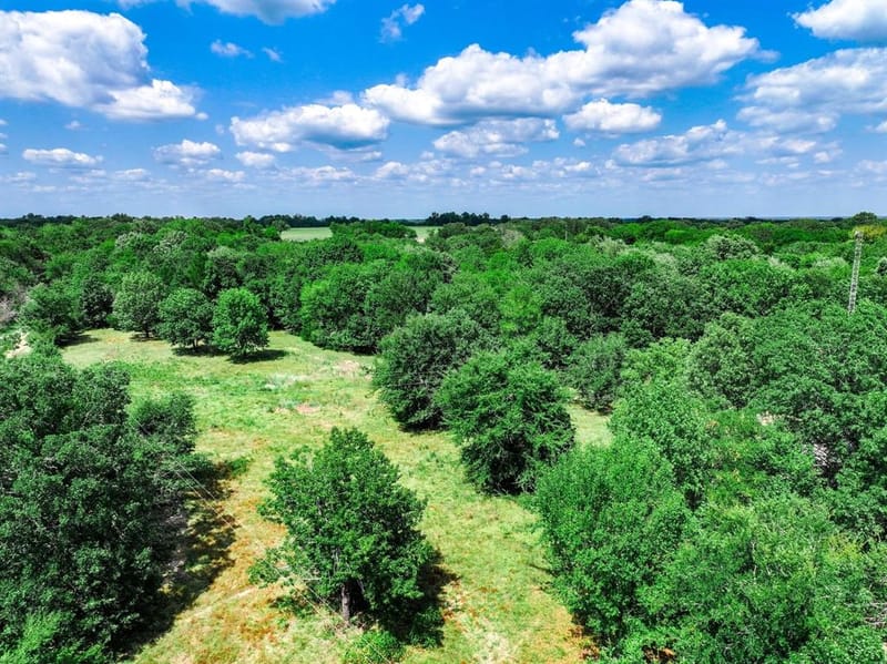 220 County Road 4577, Sulphur Springs TX 75482 - Photo 30