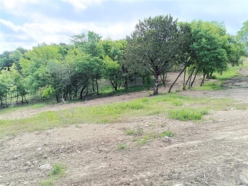 700 Woodhaven Drive, Springtown TX 76082 - Photo 8