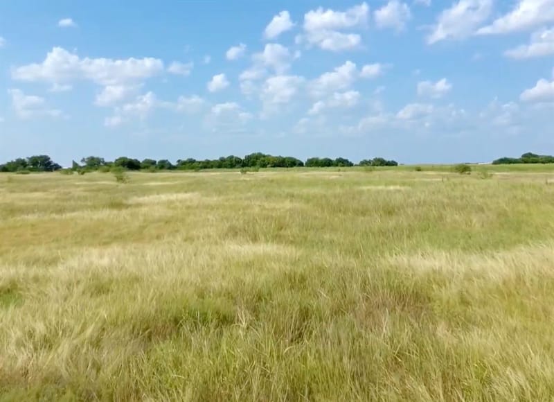5393 County Road 4102, Kaufman TX 75142 - Photo 15