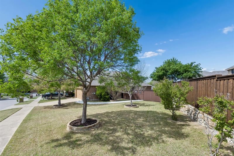 3700 Madrone Way, McKinney TX 75072 - Photo 9