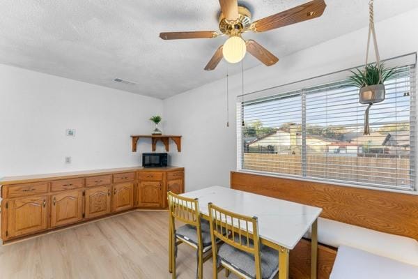 813 Via Avenida, Mesquite TX 75150 - Photo 10