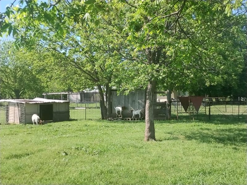 4440 Dripping Springs Road, Sherman TX 75090 - Photo 38