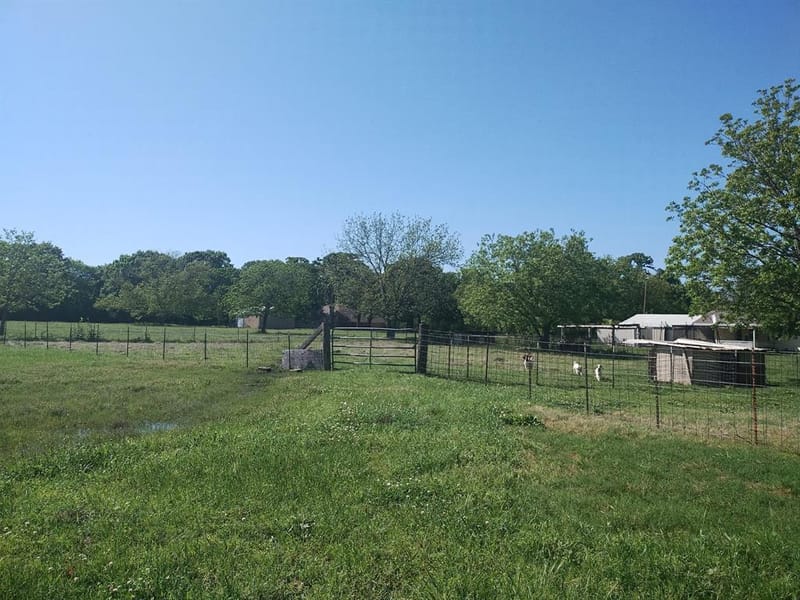 4440 Dripping Springs Road, Sherman TX 75090 - Photo 35