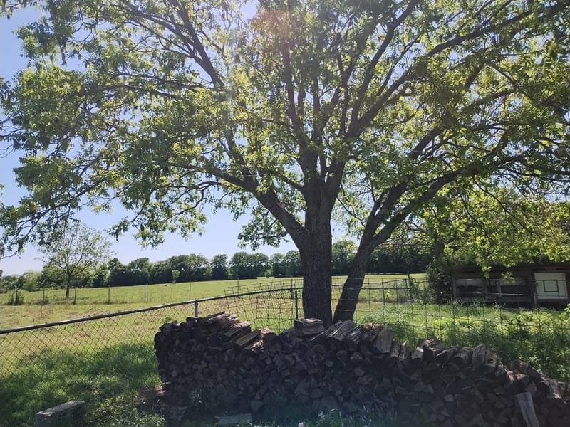 4440 Dripping Springs Road, Sherman TX 75090 - Photo 29