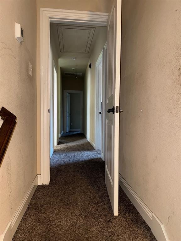 202 Rutherford Avenue, Wylie TX 75098 - Photo 12