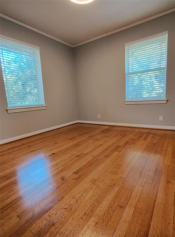 9528 Ash Creek Drive, Dallas TX 75228 - Photo 14