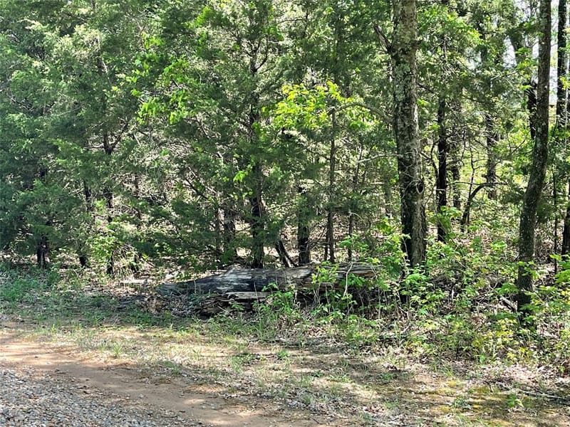 2110 County Road 1220, Savoy TX 75479 - Photo 30