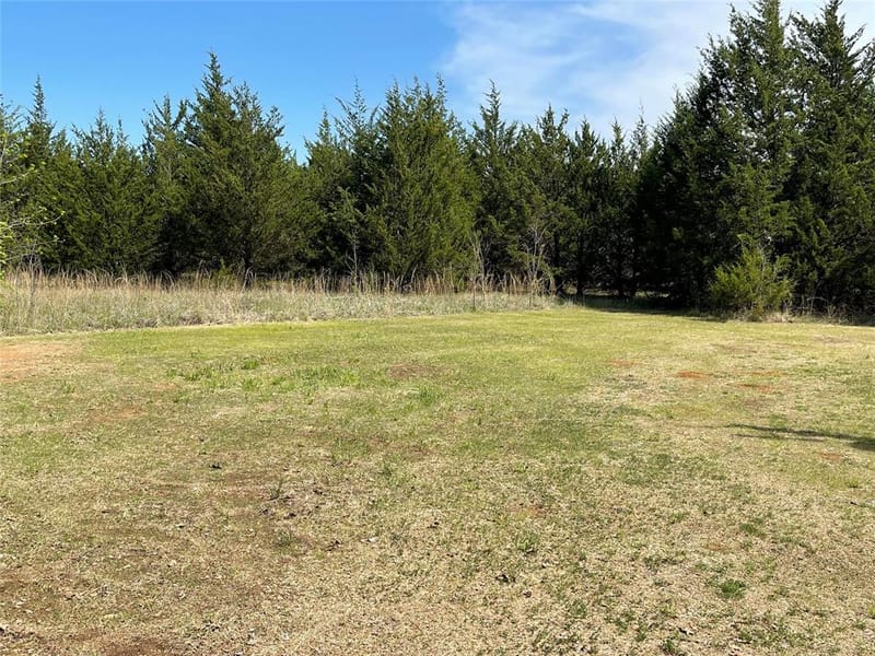 2110 County Road 1220, Savoy TX 75479 - Photo 38