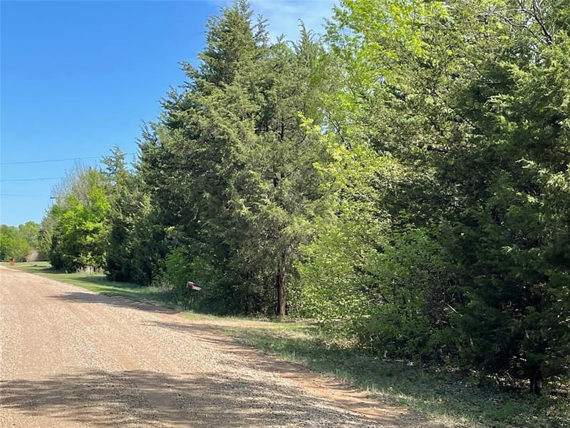 2110 County Road 1220, Savoy TX 75479 - Photo 40