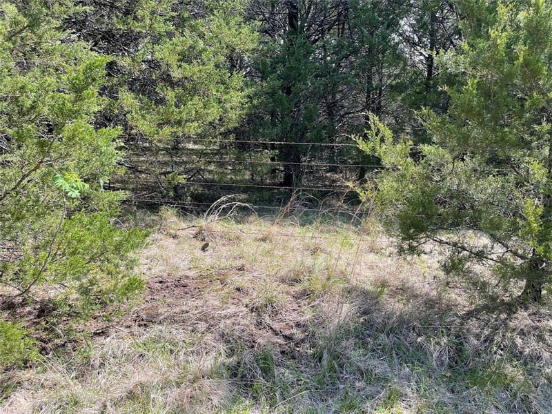 2110 County Road 1220, Savoy TX 75479 - Photo 39