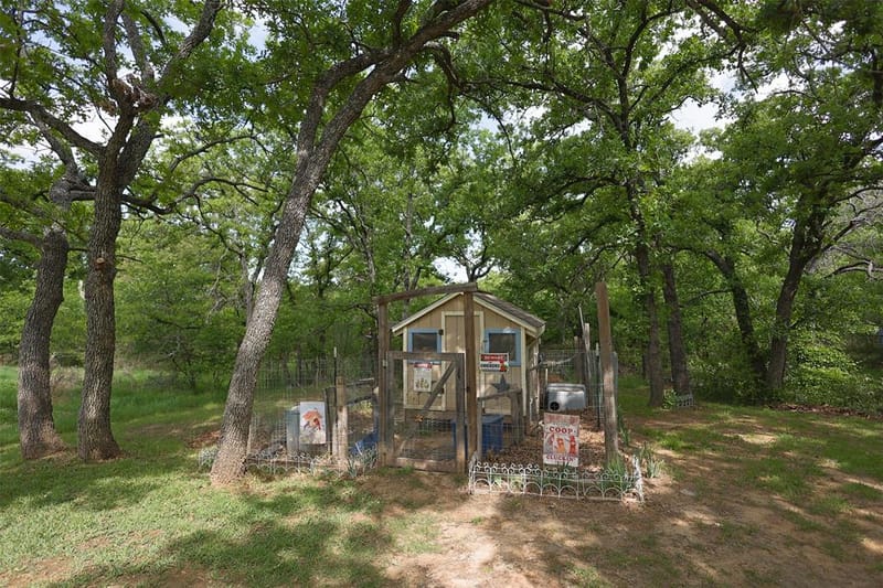 309 Tejas Trail, Springtown TX 76082 - Photo 33