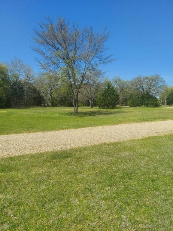 224 CR 290, Collinsville TX 76233 - Photo 8