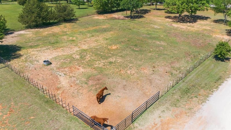 10642 Fm 902, Collinsville TX 76233 - Photo 26