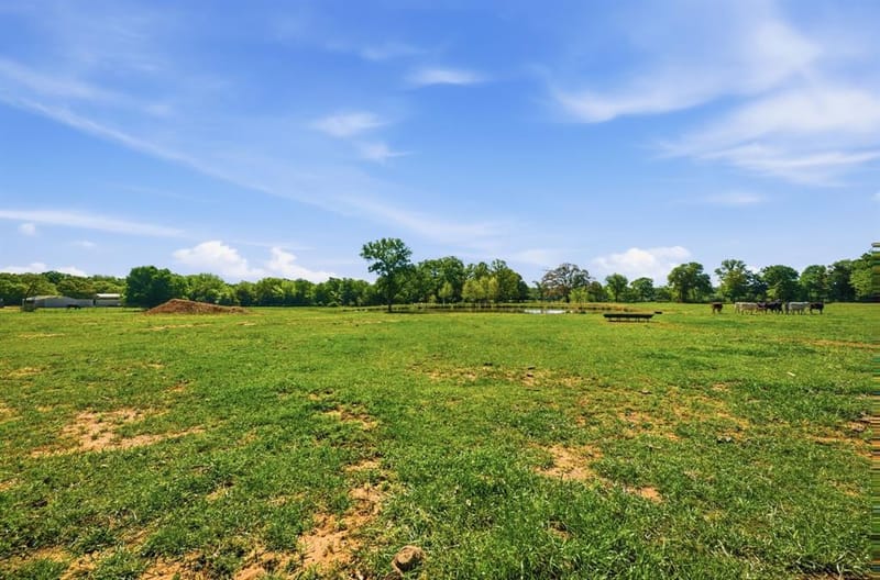 10642 Fm 902, Collinsville TX 76233 - Photo 35