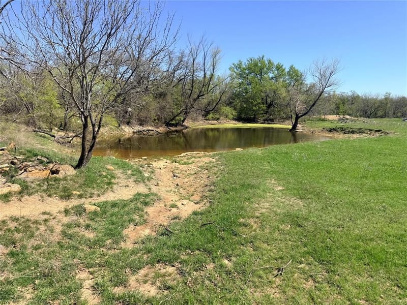 421 Erwin, Jacksboro TX 76458 - Photo 12