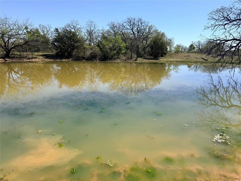 421 Erwin, Jacksboro TX 76458 - Photo 11