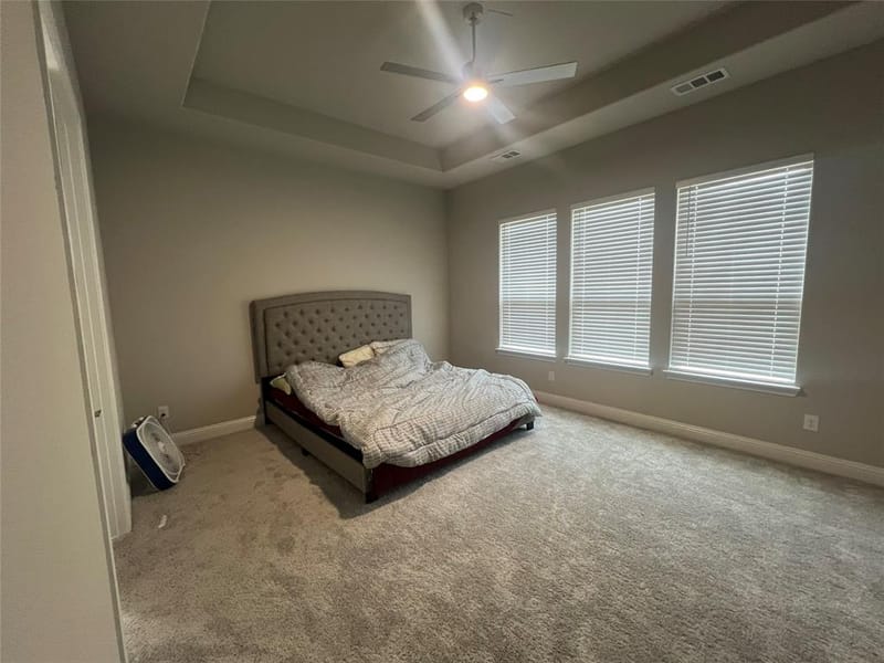 4805 Sunnybrook Drive, Plano TX 75093 - Photo 12
