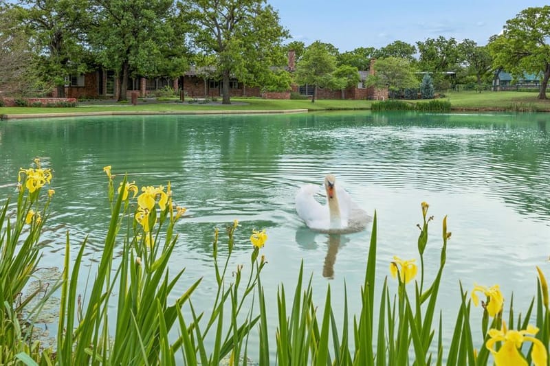 1 Paigebrooke, Westlake TX 76262 - Photo 37