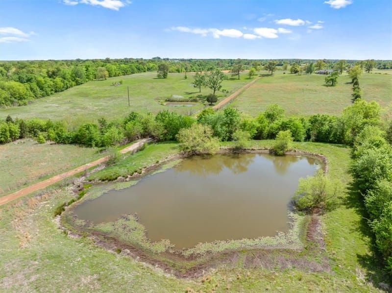 1421 Vz County Road 2319, Canton TX 75103 - Photo 6