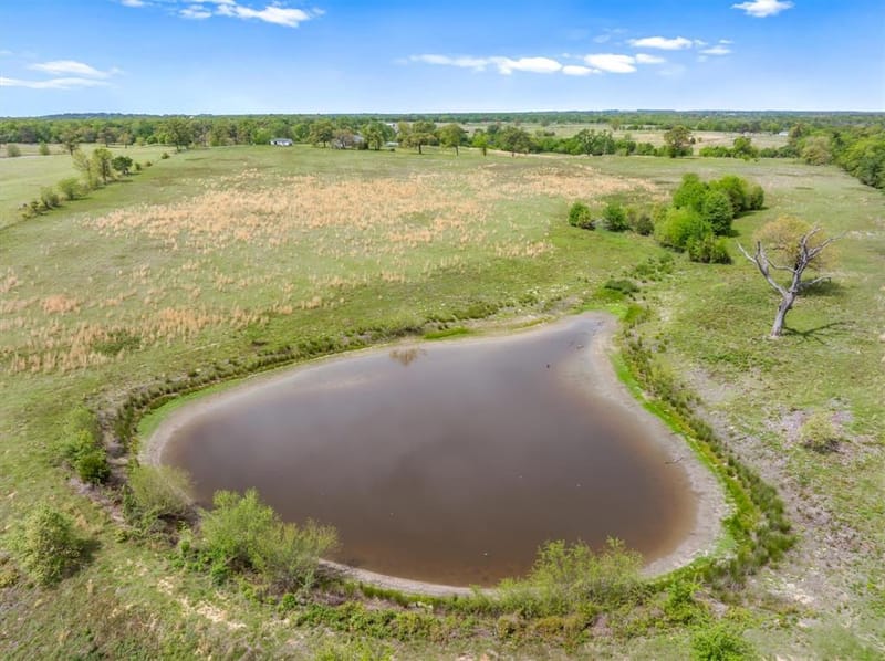 1421 Vz County Road 2319, Canton TX 75103 - Photo 11