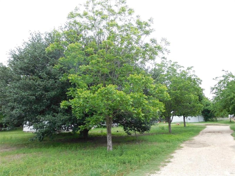 1032 Fm 936, Hubbard TX 76648 - Photo 38