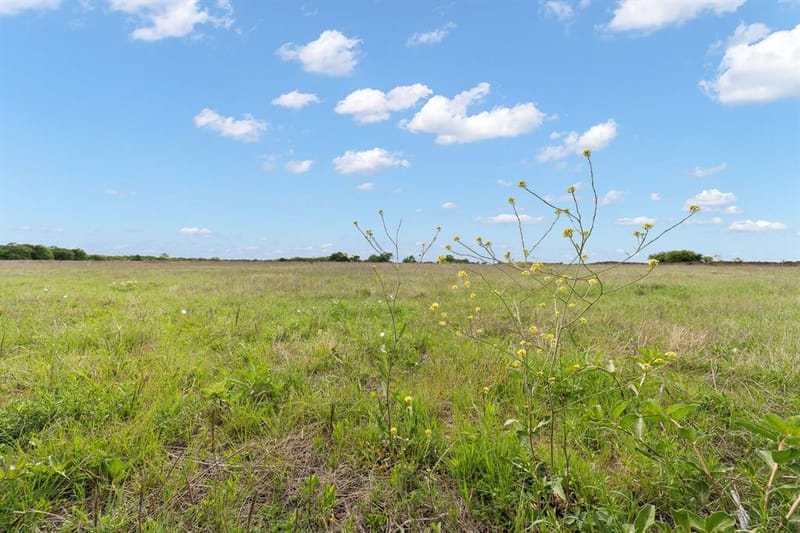 6265 County Road 305, Grandview TX 76050 - Photo 32