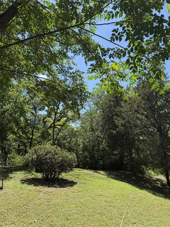 522 Bronco Trail, Oak Point TX 75068 - Photo 4