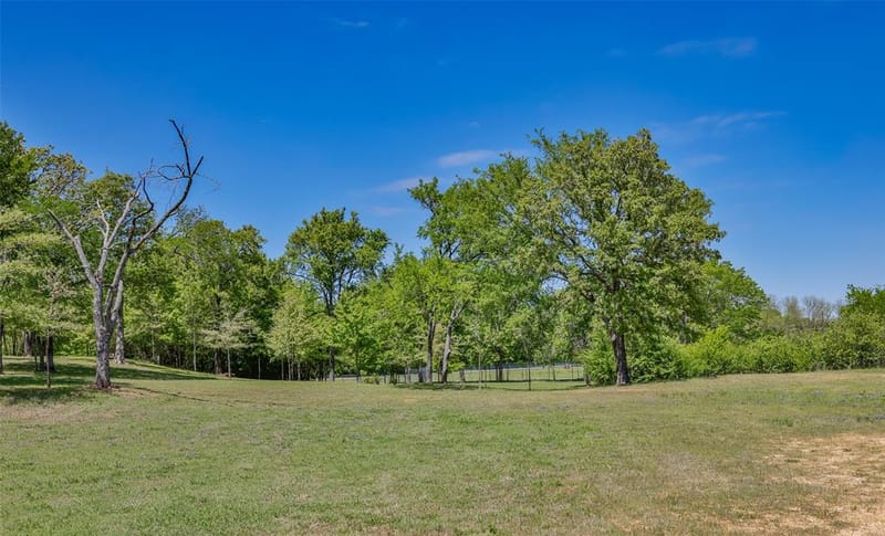 100 Shawnee Trail Road, Whitesboro TX 76273 - Photo 18