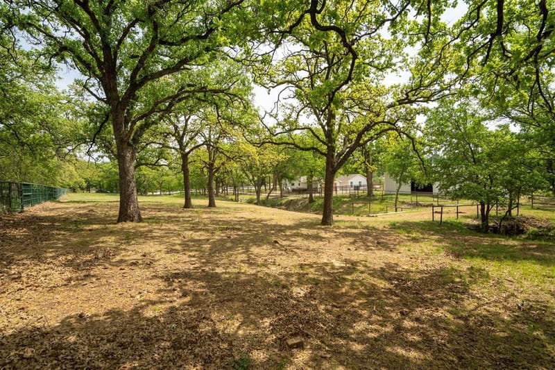 660 Chinn Chapel Road, Copper Canyon TX 75077 - Photo 38
