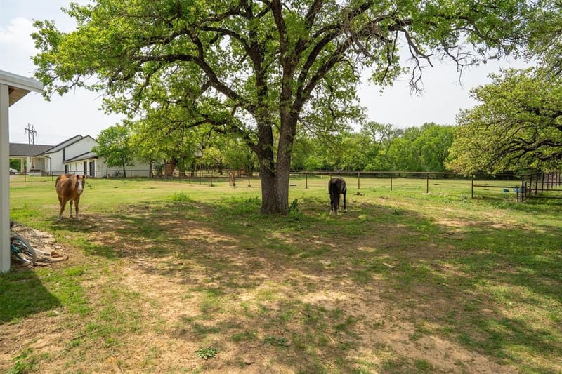 660 Chinn Chapel Road, Copper Canyon TX 75077 - Photo 37