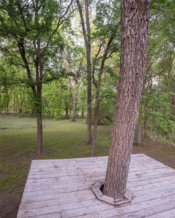 1451 Meandro Ria Lane, Fairview TX 75069 - Photo 32