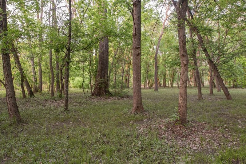 1451 Meandro Ria Lane, Fairview TX 75069 - Photo 33