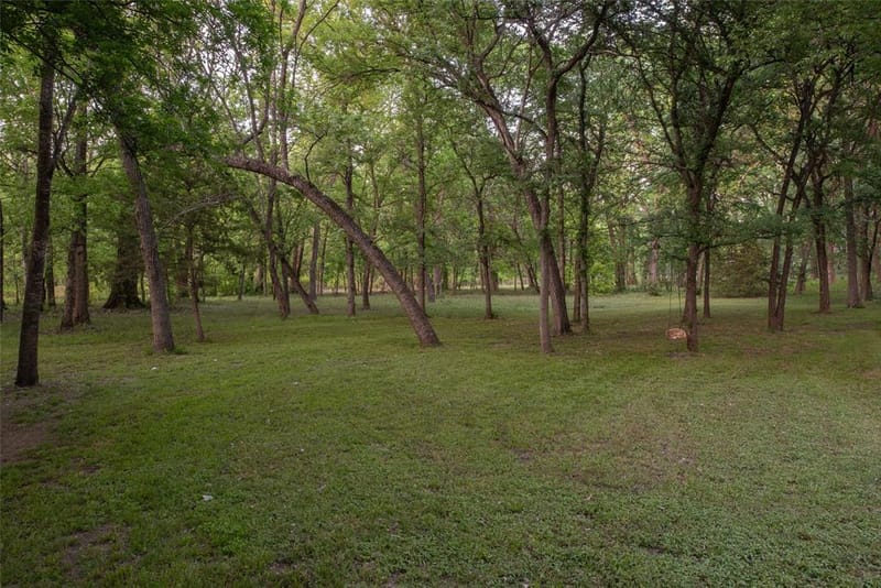 1451 Meandro Ria Lane, Fairview TX 75069 - Photo 35