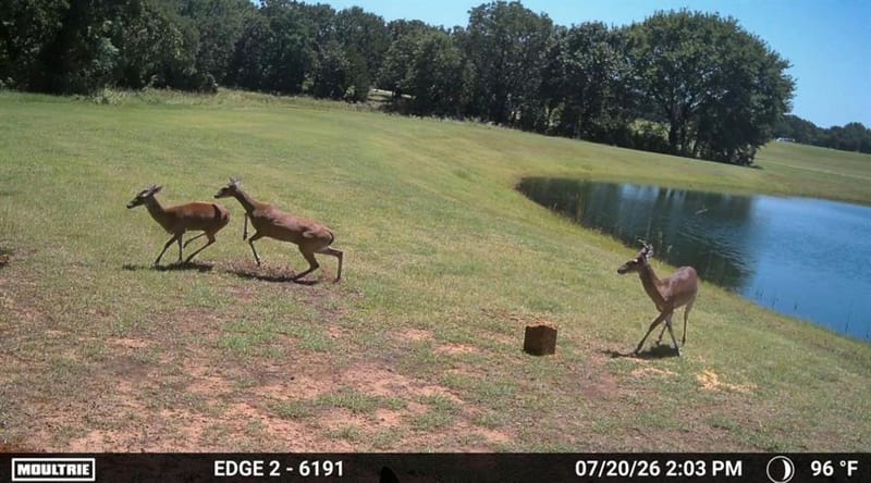1561 FM 934, Blum TX 76627 - Photo 33