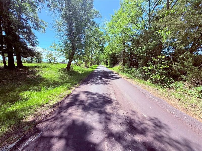45 County Road 1197, Yantis TX 75497 - Photo 26