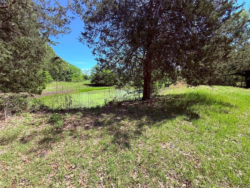 45 County Road 1197, Yantis TX 75497 - Photo 25